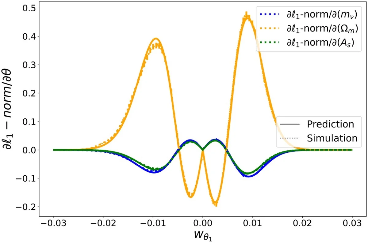 Derivative of ℓ1-norm with respect to Om