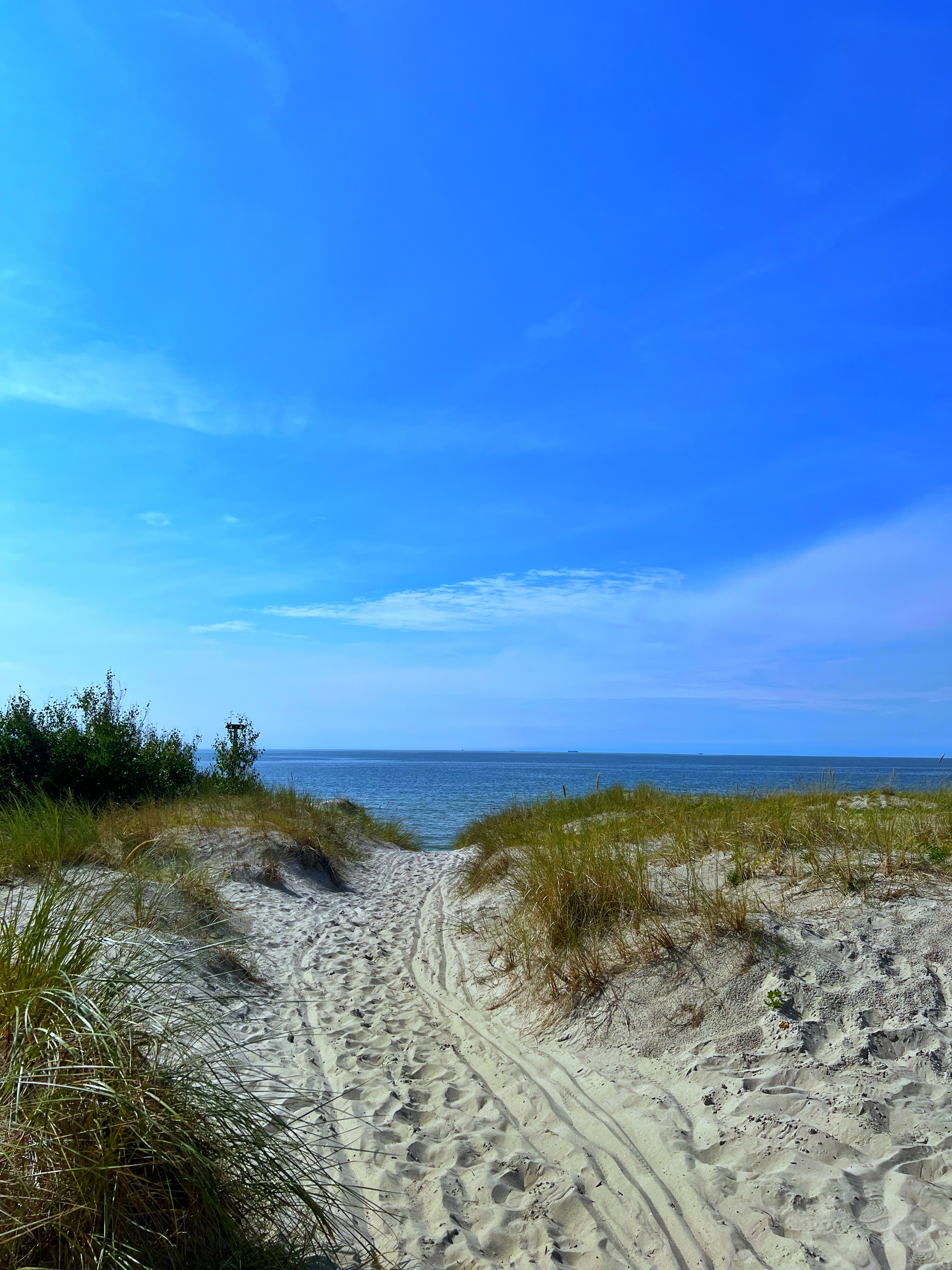 Curonian Spit